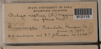Image Associated With the Occurence
